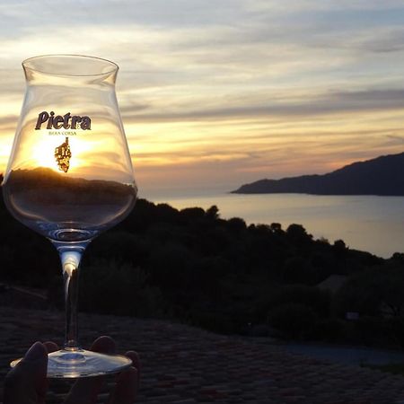 T2 Vue Mer Clim Dans Residence 3 Piscine Chauffee Saison & Plage A Pied Serra-di-Ferro  Zewnętrze zdjęcie